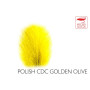Polish Quills CDC Golden Olive