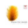 Polish Quills CDC Ginger
