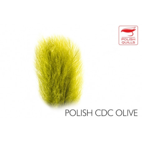 Polish Quills CDC Olive