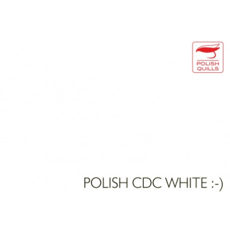 Polish Quills CDC White