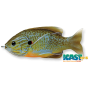 Воблер Sunfish Topwater LiveTarget